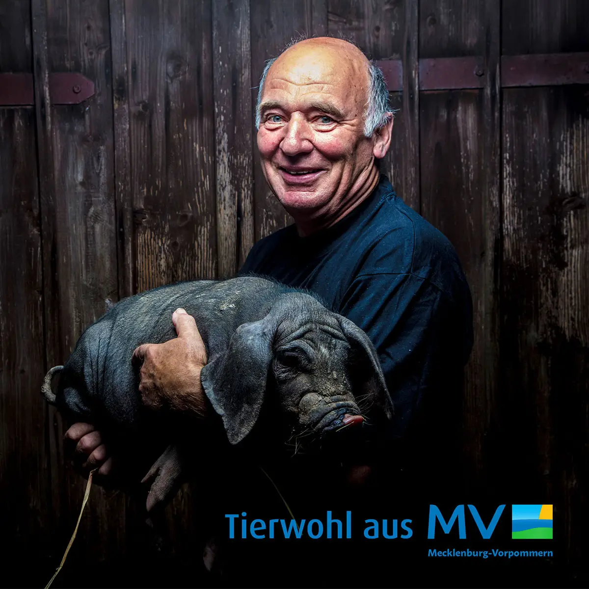 Kampagne Mecklenburg-Vorpommern – »Tierwohl aus MV« mit Landwirt & Ferkel.