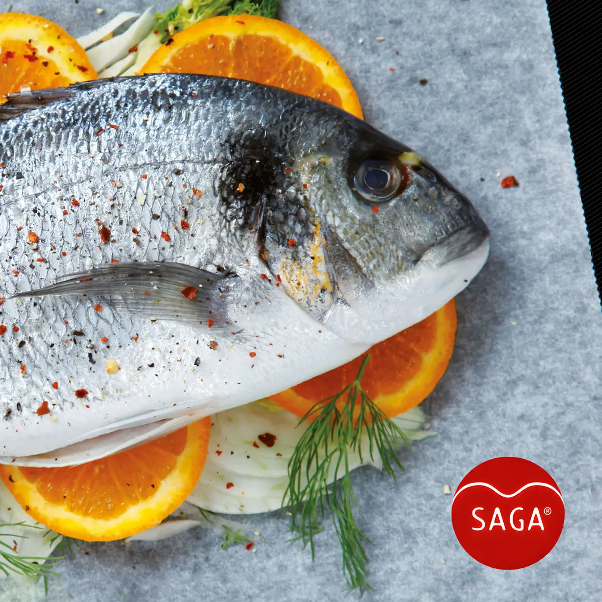 Saga – Kochbuchmotiv: Dorade/Goldbrasse als Food-Inszenierung.