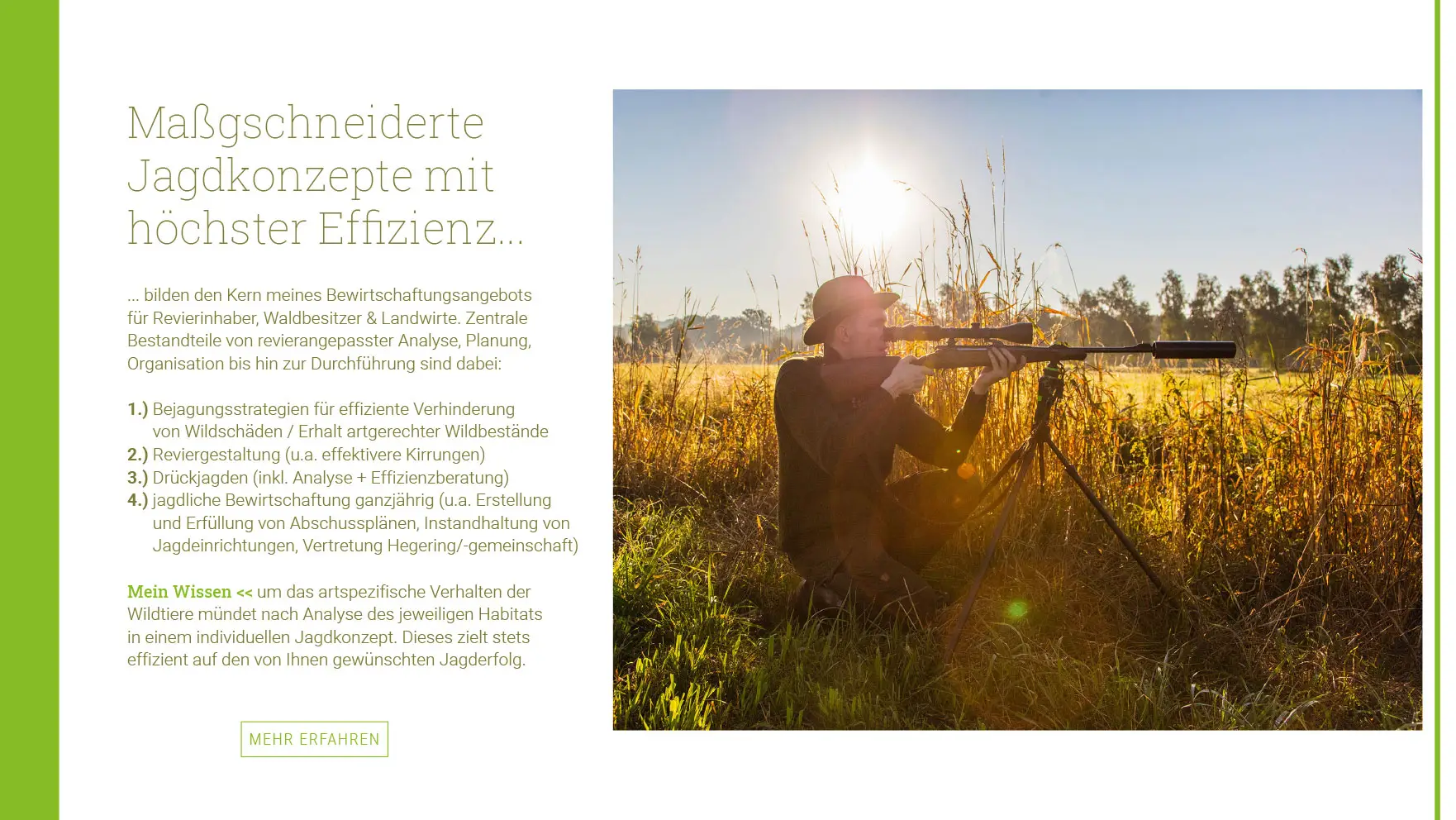Website-Sequenz Wildmanagement Stoll – Abschnitt 2: Leistungen & Reviermanagement.