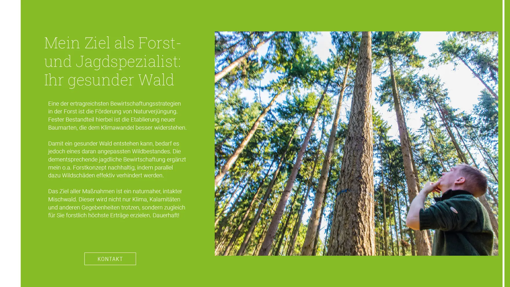 Website-Sequenz Wildmanagement Stoll – Abschnitt 3: Wildschäden, Prävention & Maßnahmen.